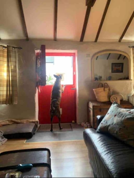 Stone Wall Cottage Castlewellan Bagian luar foto