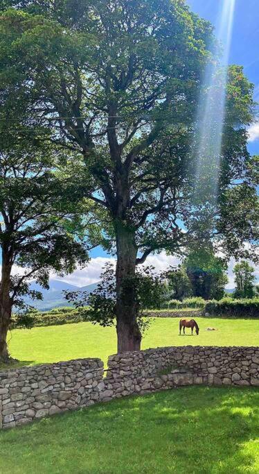 Stone Wall Cottage Castlewellan Bagian luar foto