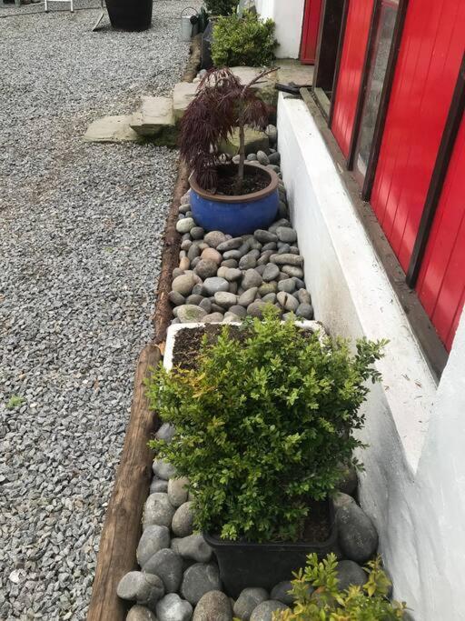 Stone Wall Cottage Castlewellan Bagian luar foto
